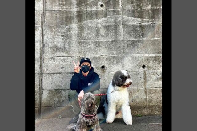 22最新 木村拓哉の愛犬は何匹で何歳 犬種や名前まとめ バブなど画像も Xoxブログ